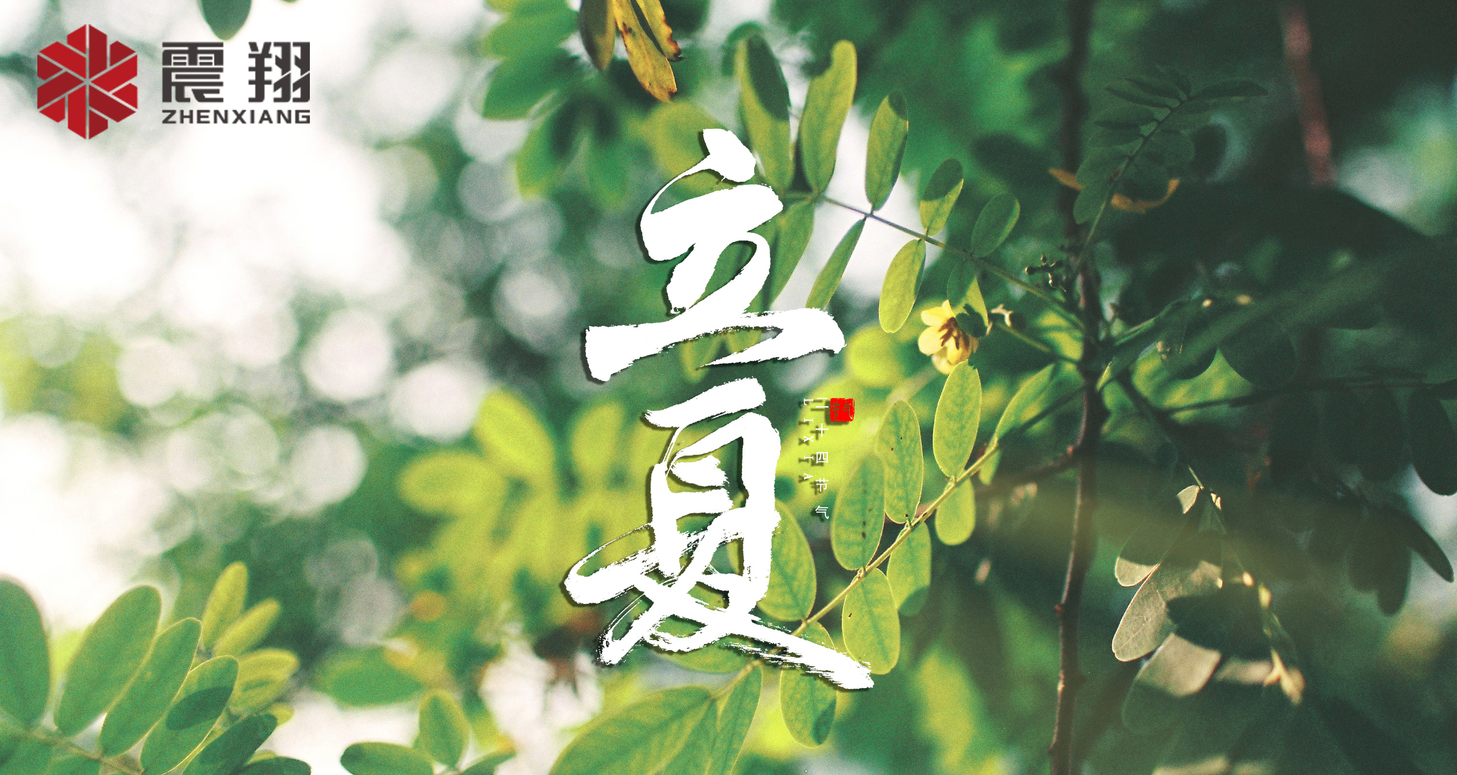 【立夏】春去春來不曾留意，夏日當歸，撲面而來